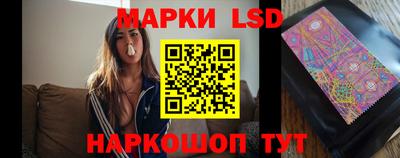 молекула духа Шебекино