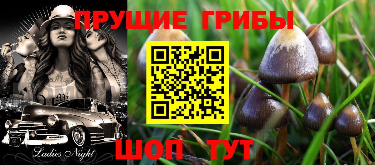 Псилоцибиновые грибы мицелий  Вход с VPN  Галлюциногенные грибы прущие грибы  Асбест 