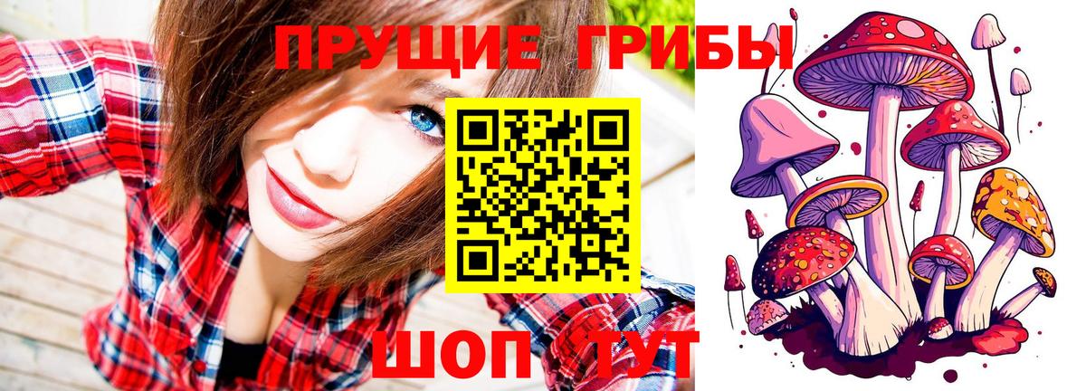 Псилоцибиновые грибы MAGIC MUSHROOMS Асбест